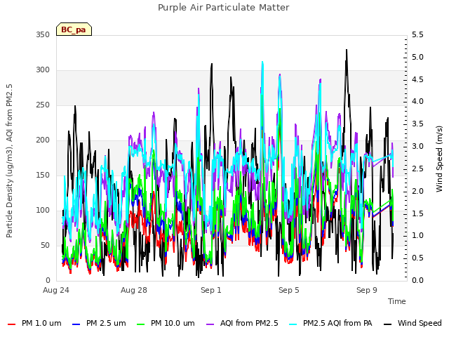 Explore the graph:Purple Air Particulate Matter in a new window