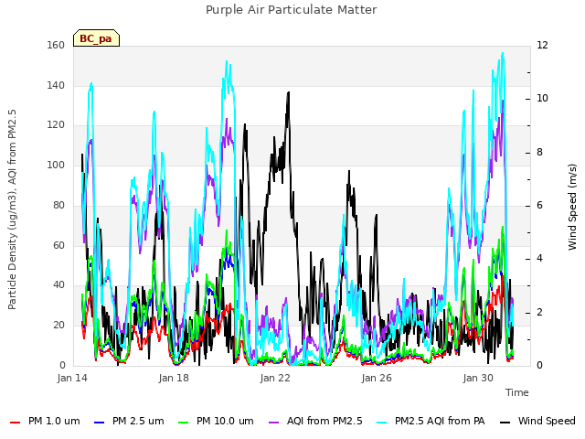 Explore the graph:Purple Air Particulate Matter in a new window