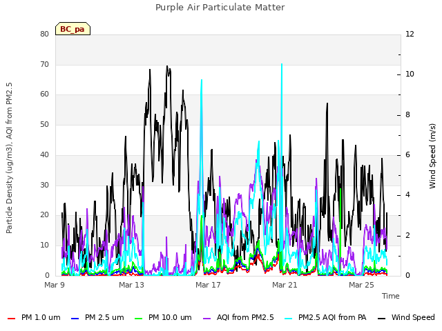 Explore the graph:Purple Air Particulate Matter in a new window