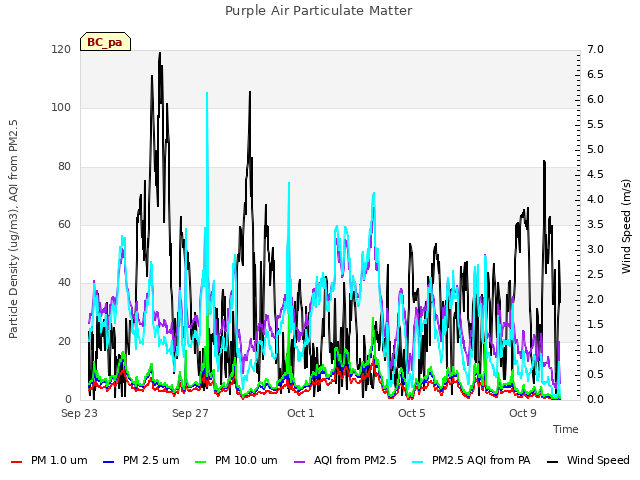 Explore the graph:Purple Air Particulate Matter in a new window