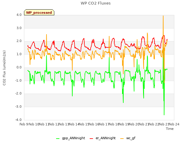 plot of WP CO2 Fluxes