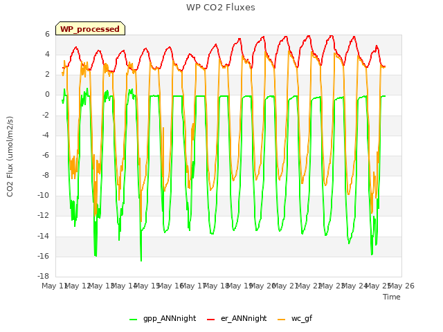 plot of WP CO2 Fluxes