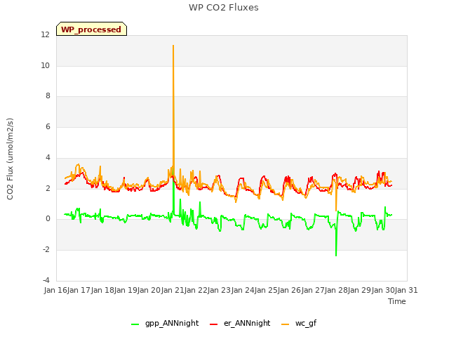 plot of WP CO2 Fluxes