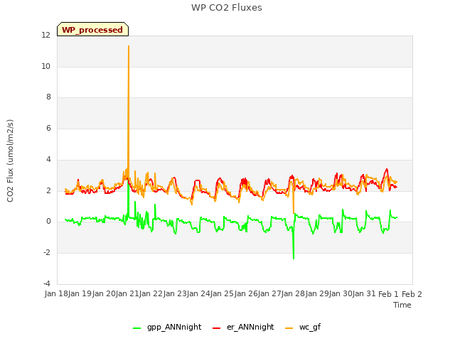 plot of WP CO2 Fluxes