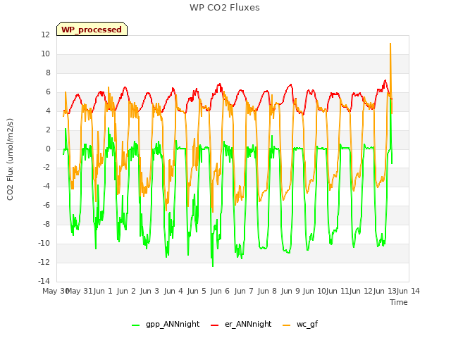 plot of WP CO2 Fluxes