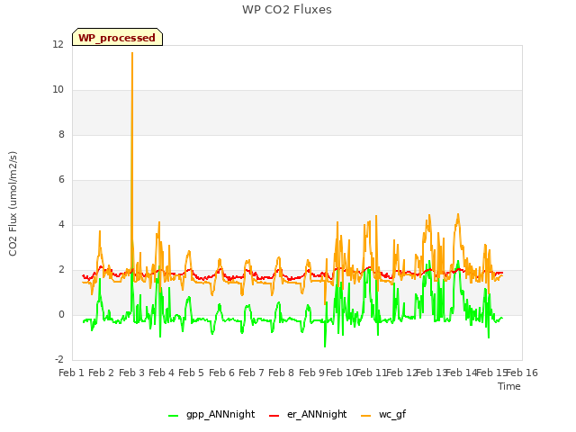 plot of WP CO2 Fluxes