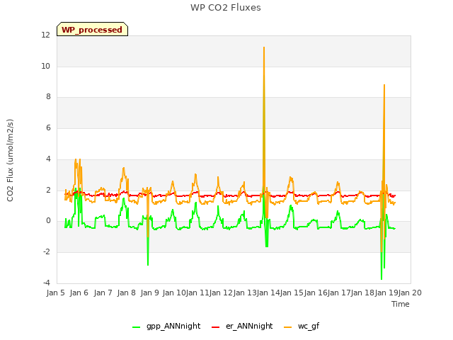 plot of WP CO2 Fluxes