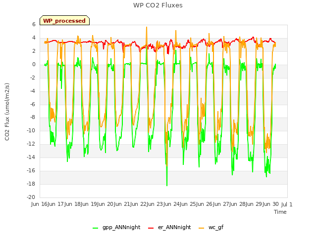 plot of WP CO2 Fluxes