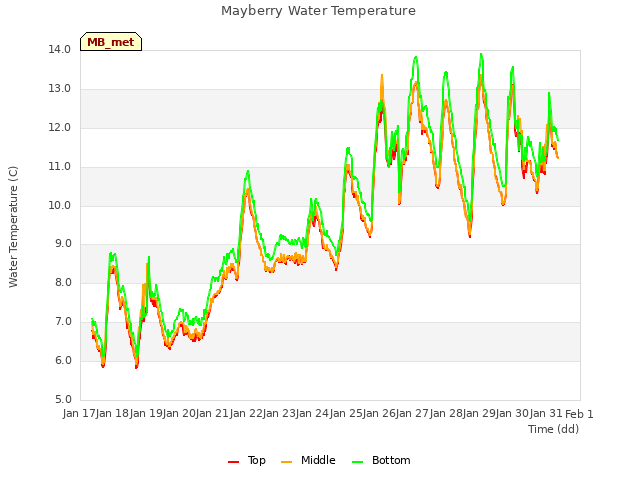 Graph showing Mayberry Water Temperature