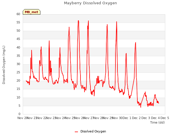 plot of Mayberry Dissolved Oxygen