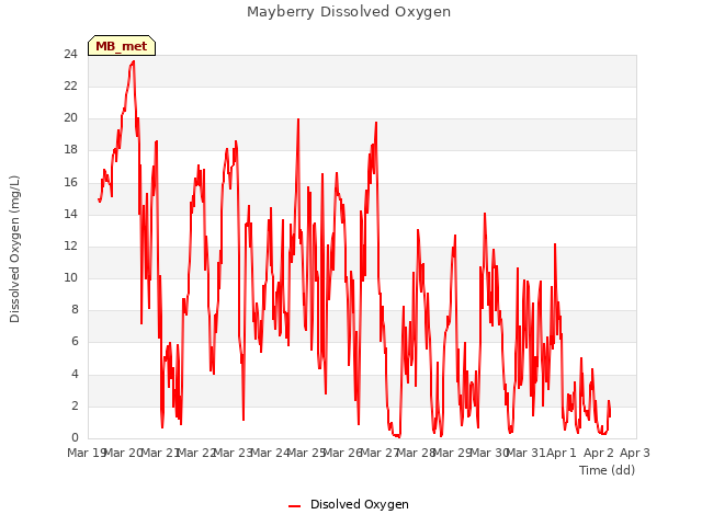 plot of Mayberry Dissolved Oxygen