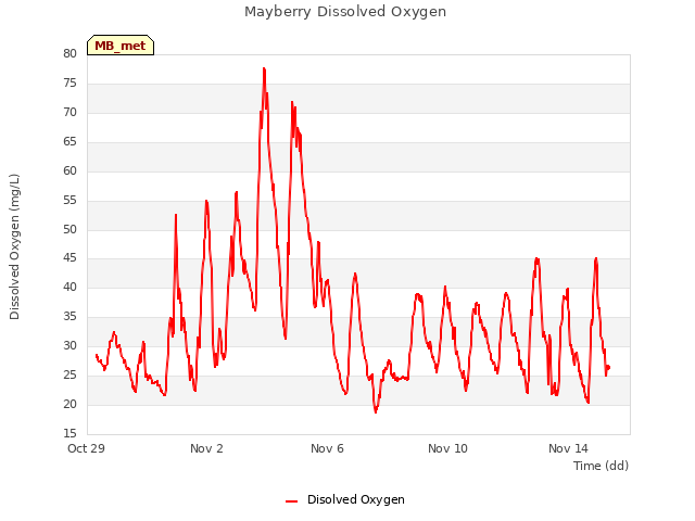 Explore the graph:Mayberry Dissolved Oxygen in a new window