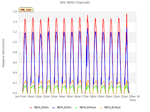 plot of SRS NDVI Channels