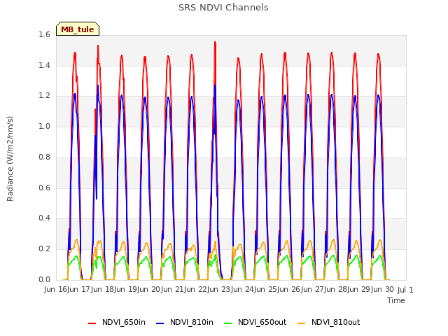 plot of SRS NDVI Channels