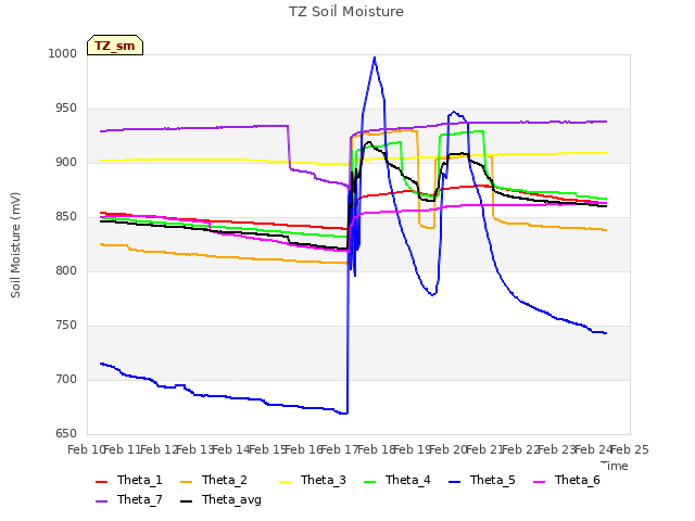 plot of TZ Soil Moisture