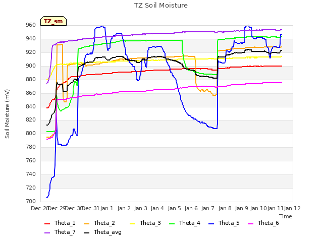 plot of TZ Soil Moisture