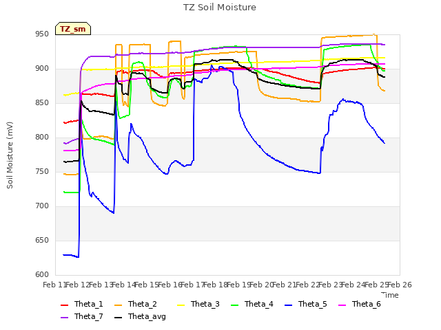 plot of TZ Soil Moisture