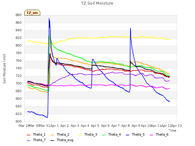 plot of TZ Soil Moisture