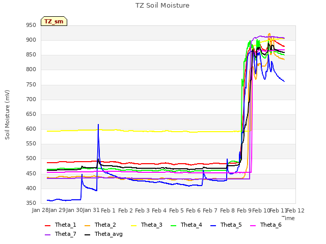 plot of TZ Soil Moisture