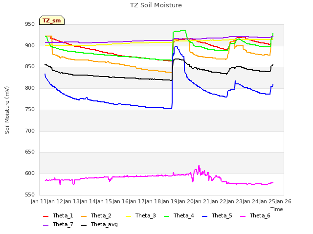 plot of TZ Soil Moisture