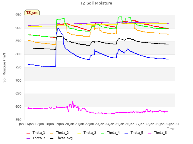 plot of TZ Soil Moisture