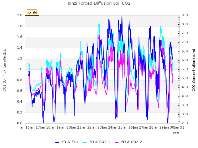 plot of Tonzi Forced Diffusion Soil CO2