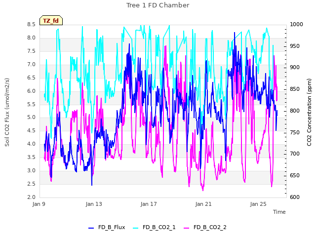 Explore the graph:Tree 1 FD Chamber in a new window