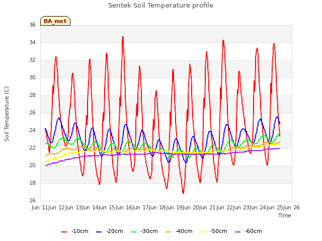 plot of Sentek Soil Temperature profile