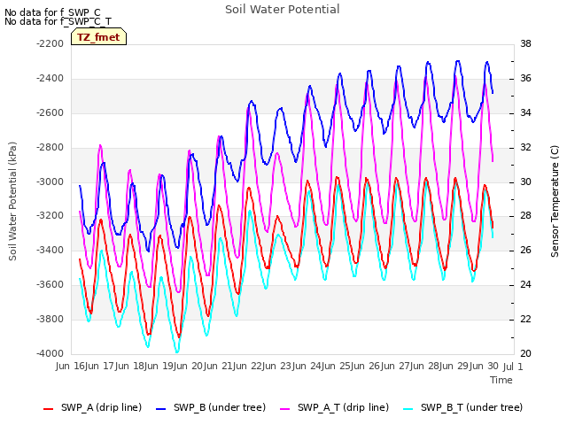 plot of Soil Water Potential