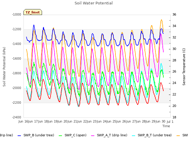 plot of Soil Water Potential