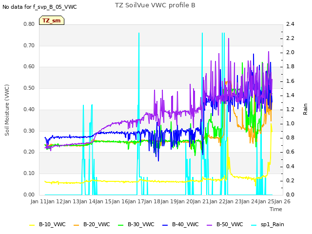 plot of TZ SoilVue VWC profile B