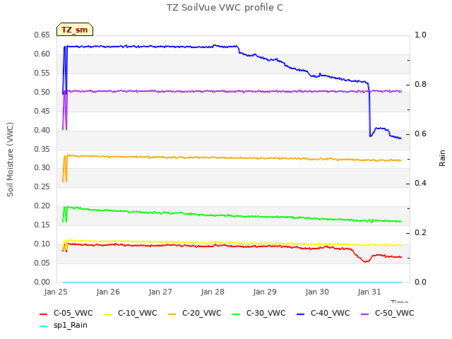 plot of TZ SoilVue VWC profile C