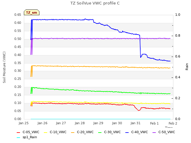 plot of TZ SoilVue VWC profile C