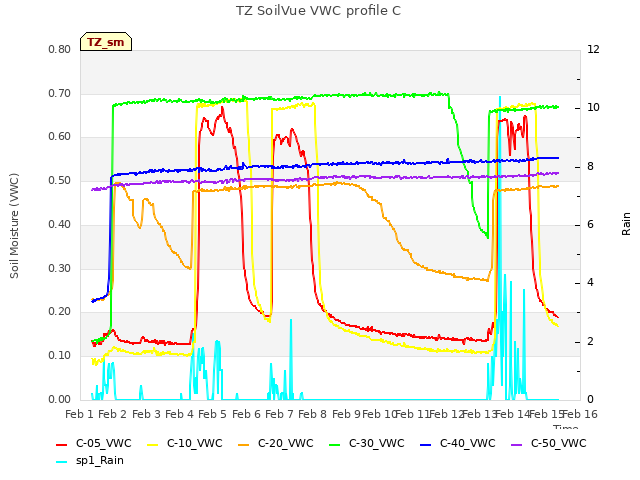 plot of TZ SoilVue VWC profile C