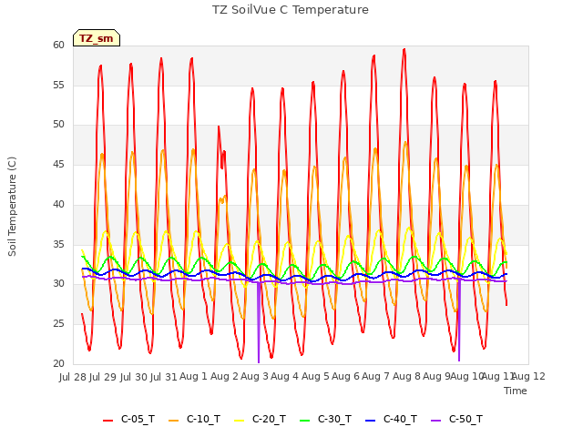 plot of TZ SoilVue C Temperature