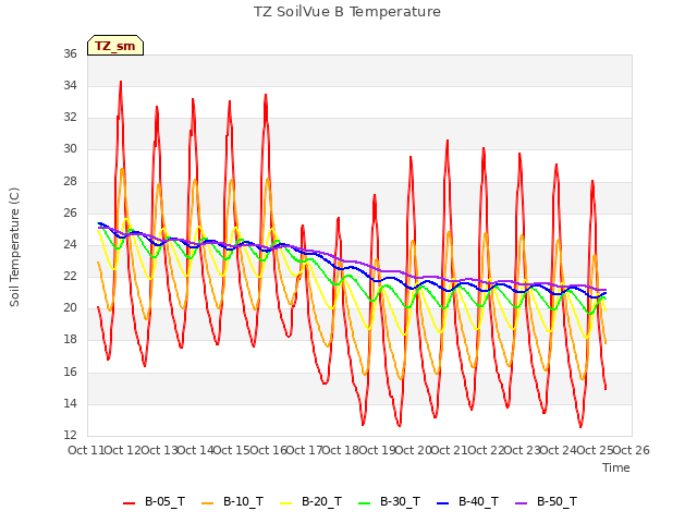 plot of TZ SoilVue B Temperature