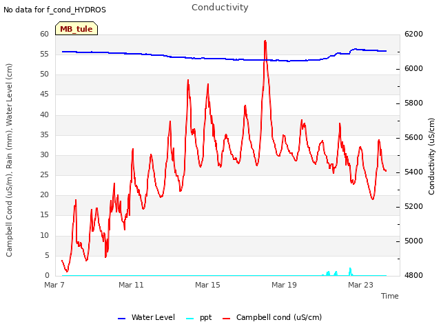 Explore the graph:Conductivity in a new window