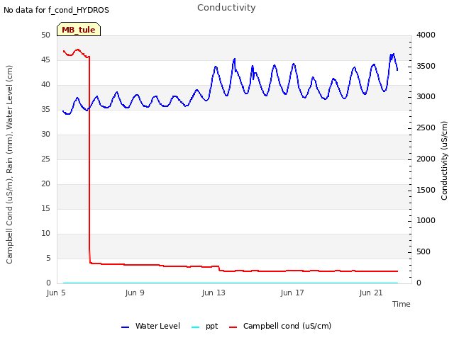 Explore the graph:Conductivity in a new window