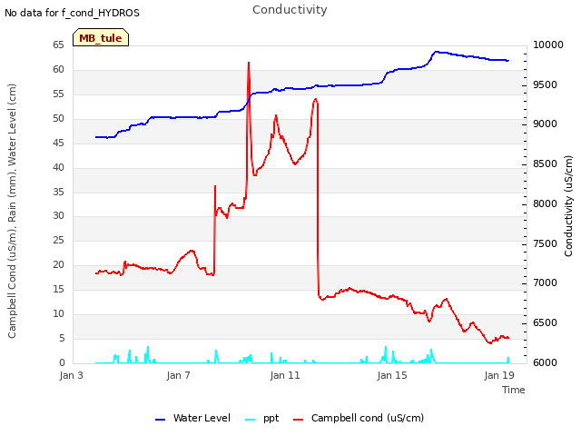 Explore the graph:Conductivity in a new window