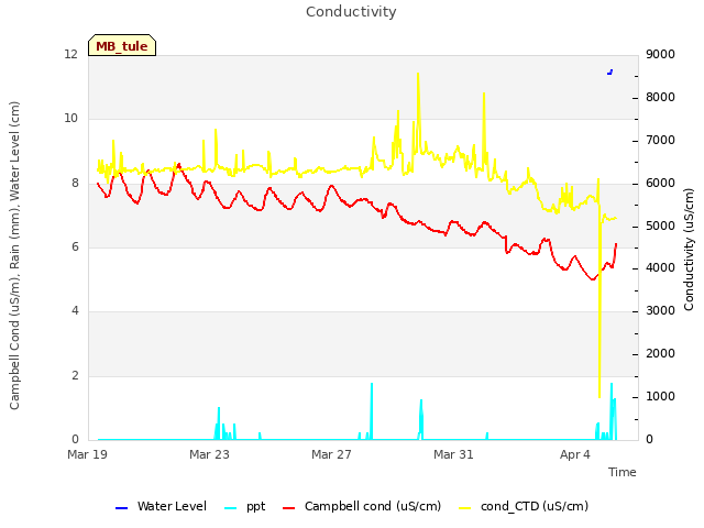 Explore the graph:Conductivity in a new window