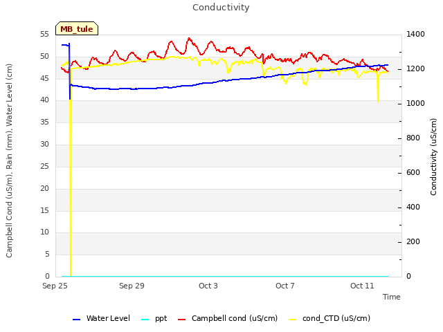 Explore the graph:Conductivity in a new window