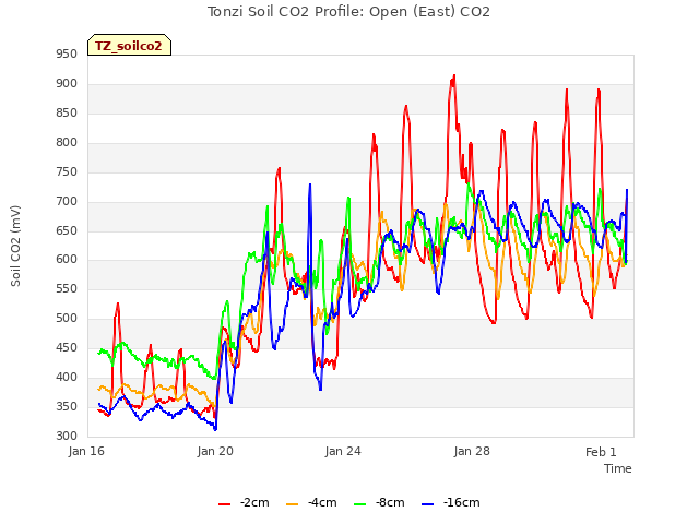 Tonzi Soil CO2 Profile: Open (East) CO2