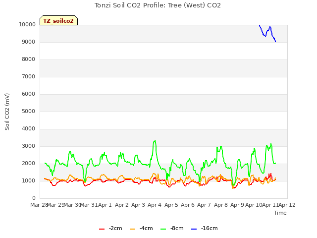 plot of Tonzi Soil CO2 Profile: Tree (West) CO2