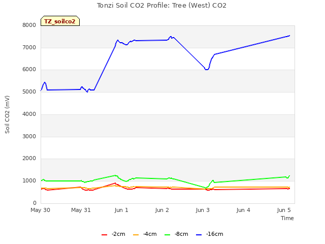 plot of Tonzi Soil CO2 Profile: Tree (West) CO2