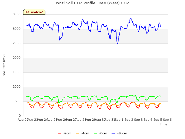 plot of Tonzi Soil CO2 Profile: Tree (West) CO2