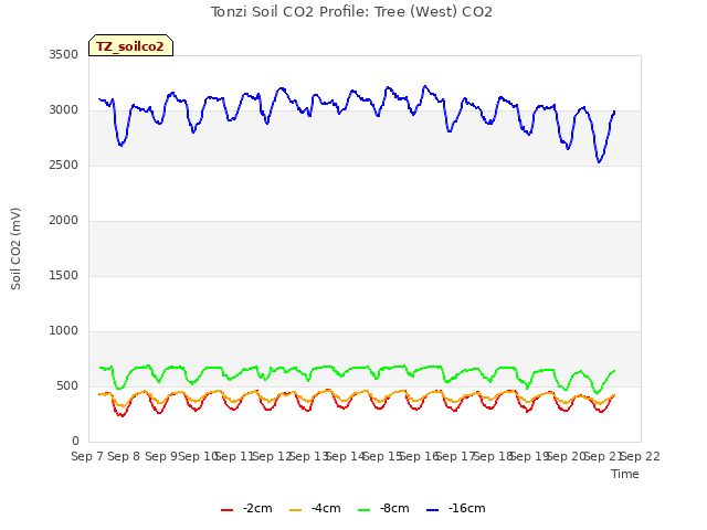 plot of Tonzi Soil CO2 Profile: Tree (West) CO2