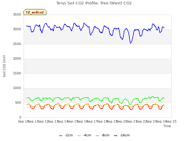 plot of Tonzi Soil CO2 Profile: Tree (West) CO2