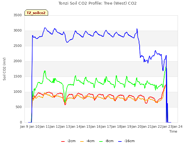 plot of Tonzi Soil CO2 Profile: Tree (West) CO2