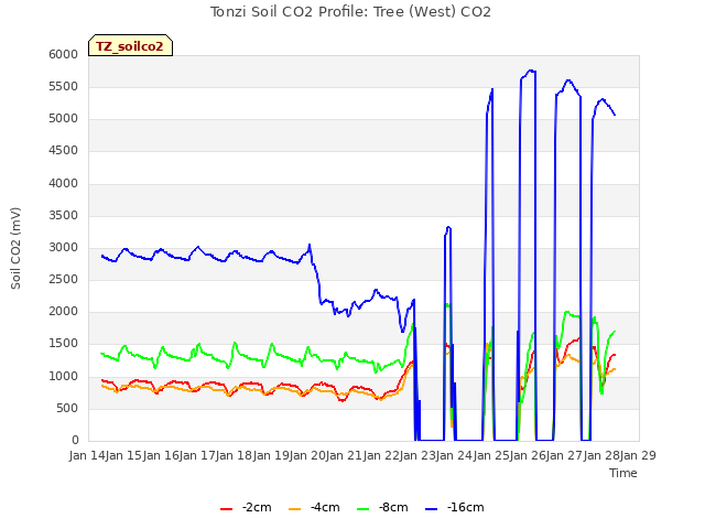 plot of Tonzi Soil CO2 Profile: Tree (West) CO2