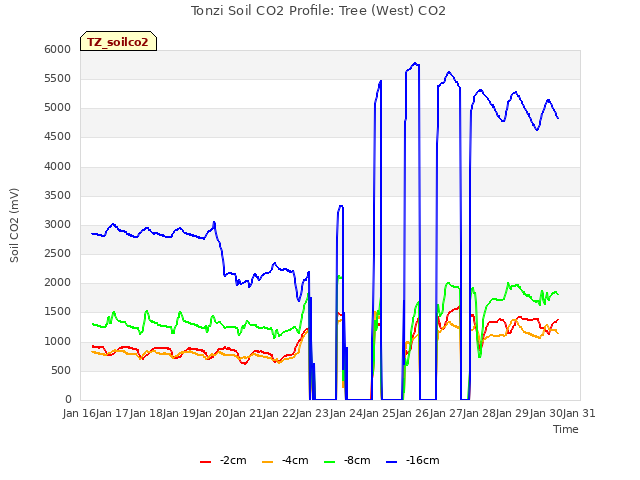 plot of Tonzi Soil CO2 Profile: Tree (West) CO2